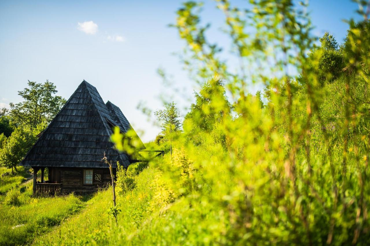 Raven'S Nest - The Hidden Village, Transylvania - Romania Sub Piatra Zewnętrze zdjęcie